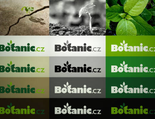 botanic4